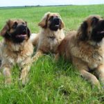 drei Generationen – Vee-Mama, Dunja-Kind, Paula-Oma