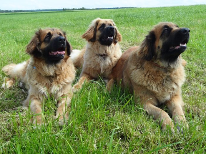 drei Generationen – Vee-Mama, Dunja-Kind, Paula-Oma