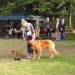 2014-09-28 16.52.27 (2)