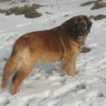 IMG_3304 (2)