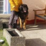 Jupp in Startposition