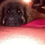 WP_20180211_20_08_04_Pro