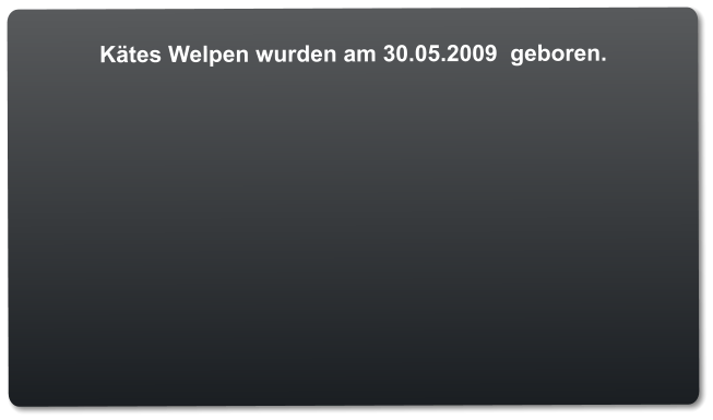 Kätes Welpen wurden am 30.05.2009  geboren.