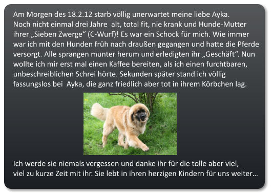 Am Morgen des 18.2.12 starb vllig unerwartet meine liebe Ayka. Noch nicht einmal drei Jahre  alt, total fit, nie krank und Hunde-Mutter  ihrer Sieben Zwerge (C-Wurf)! Es war ein Schock fr mich. Wie immer  war ich mit den Hunden frh nach drauen gegangen und hatte die Pferde  versorgt. Alle sprangen munter herum und erledigten ihr Geschft. Nun  wollte ich mir erst mal einen Kaffee bereiten, als ich einen furchtbaren,  unbeschreiblichen Schrei hrte. Sekunden spter stand ich vllig  fassungslos bei  Ayka, die ganz friedlich aber tot in ihrem Krbchen lag.        Ich werde sie niemals vergessen und danke ihr fr die tolle aber viel,  viel zu kurze Zeit mit ihr. Sie lebt in ihren herzigen Kindern fr uns weiter