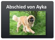 Abschied von Ayka